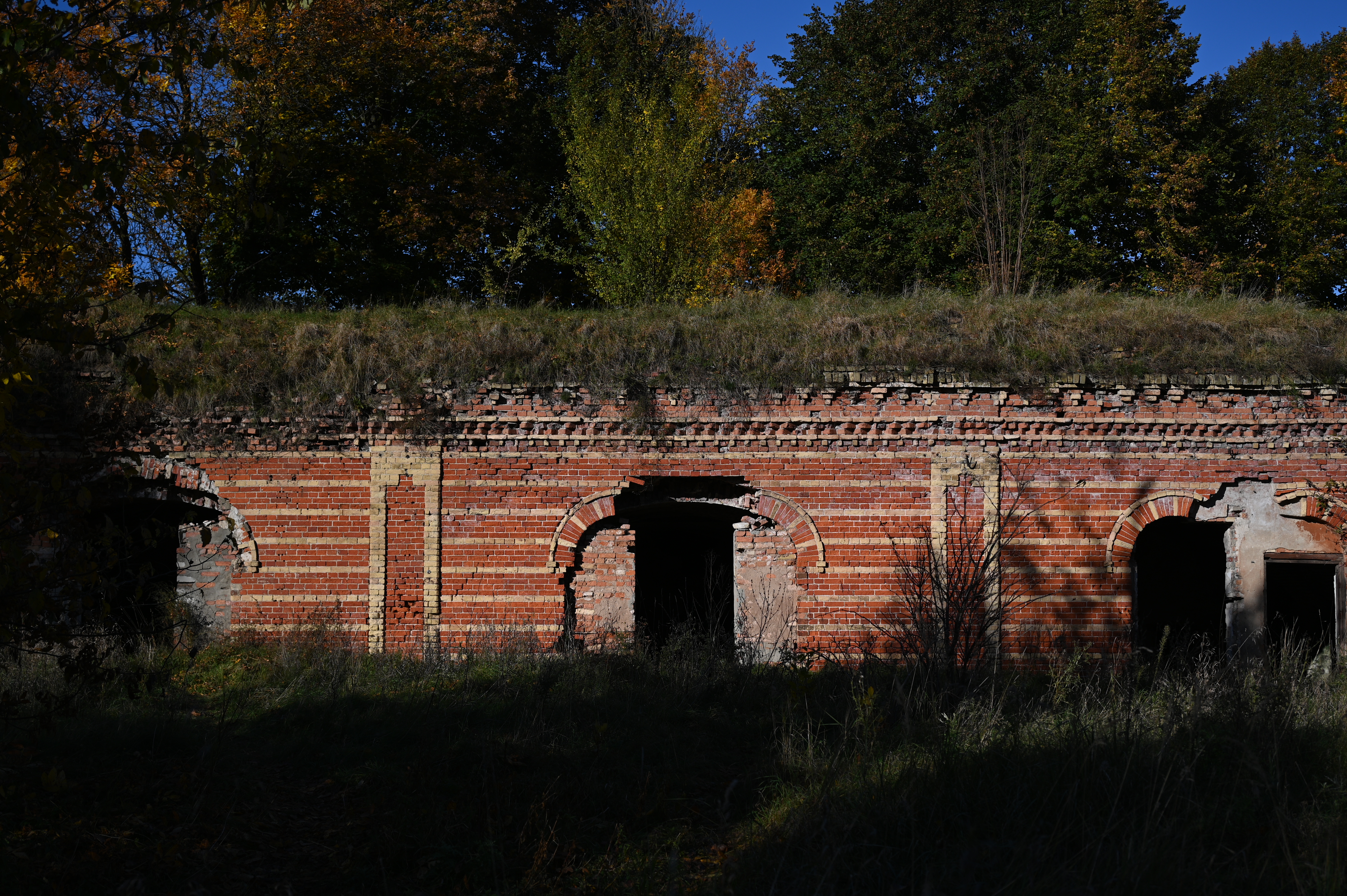 2025/10/18 - walk/DSC_0052.JPG